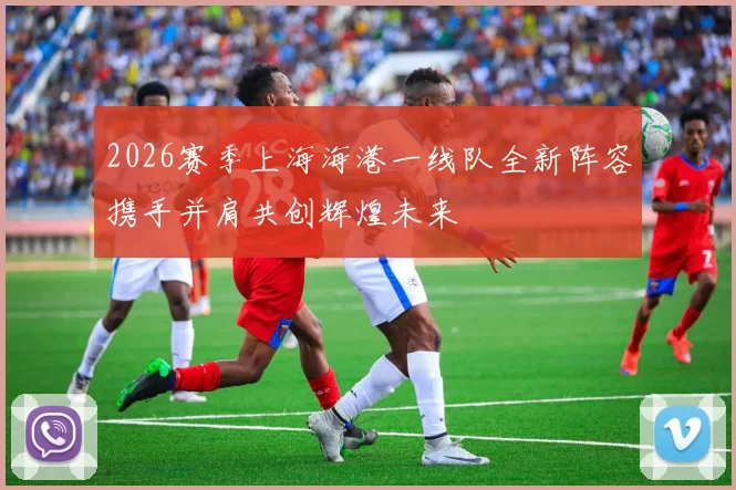2026赛季上海海港一线队全新阵容携手并肩共创辉煌未来