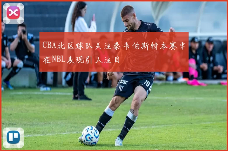 CBA北区球队关注泰韦伯斯特本赛季在NBL表现引人注目