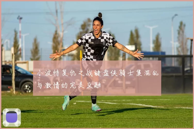 小波特复仇之战键盘侠骑士集混乱与激情的完美交融
